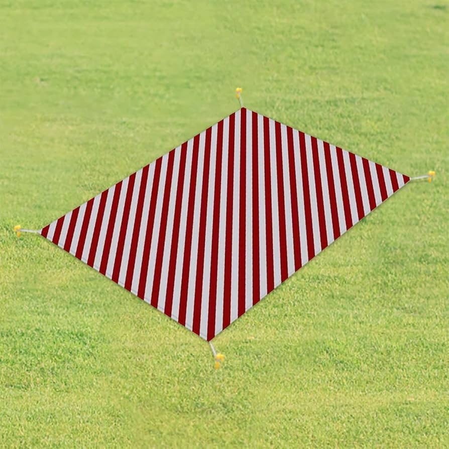 Amazon.co.jp: 多色 レジャーシート ピクニックシート 2色ストライプ